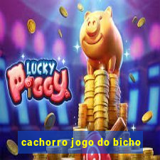 cachorro jogo do bicho